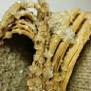 Meet your Posher, Fernanda